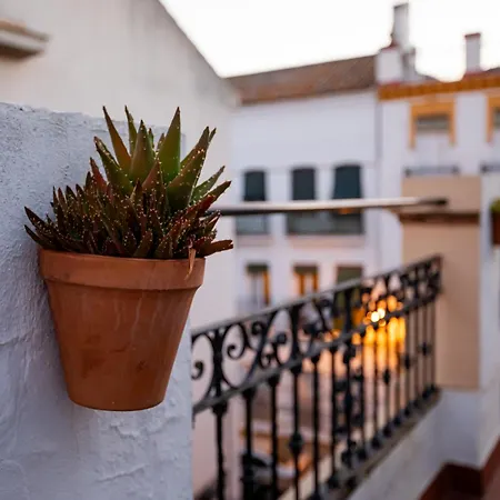 Dona Concha * Seville