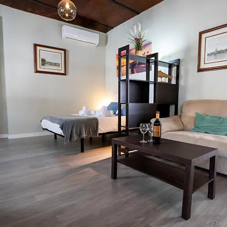 Apartment Dona Concha *